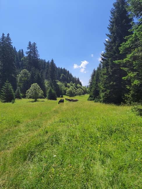 Sarajevo Sport tour: Olympic Mountains and Stadium Tour - The Value in Authentic Experiences