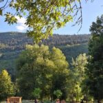 Sarajevo: Stojevac Nature Walk - The Pros and Cons