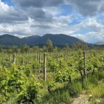 Sarande: Blue Eye & Lekuresi Tour w/ Wine Tasting - Practical Details: What to Expect