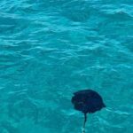 Sarandë: Cruise with Drinks, Snorkel at Shipwreck Swim Stops - Why This Tour Might Be Perfect for You