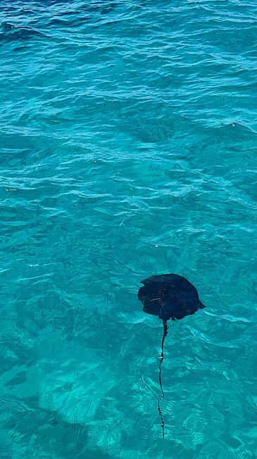 Sarandë: Cruise with Drinks, Snorkel at Shipwreck Swim Stops - Why This Tour Might Be Perfect for You