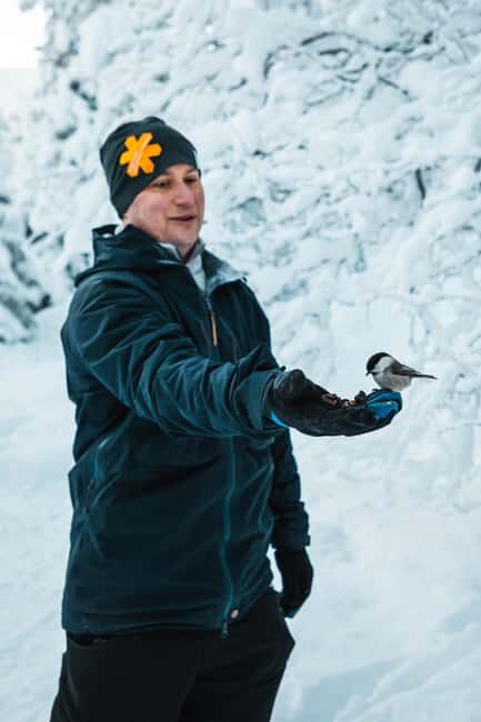 Särna: Brudslöjan Waterfalls Guided Hike with Lunch - A Deep Dive into the Experience