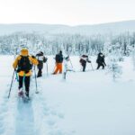 Särna: Fulufjället National Park Guided Hike with Lunch - What’s Included and Practical Details