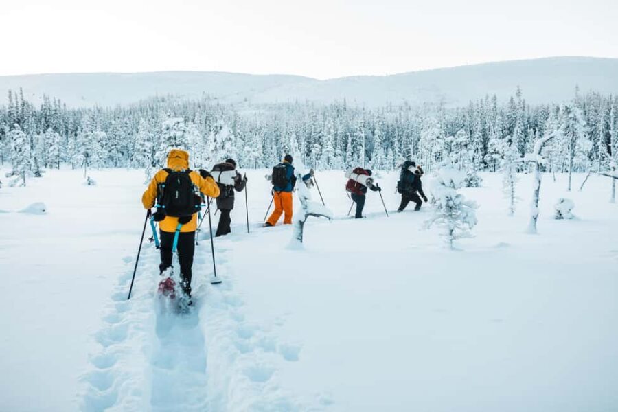 Särna: Fulufjället National Park Guided Hike with Lunch - What’s Included and Practical Details