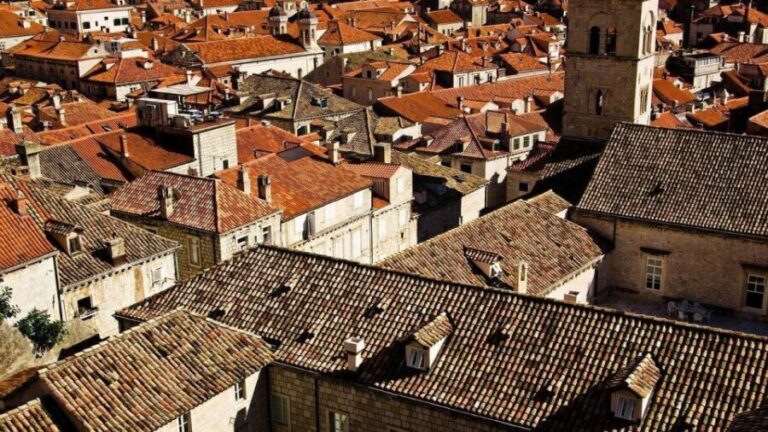 Savoir-Faire Stroll: Dubrovnik the French Way - Who Should Consider This Tour?