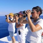 Savona: Pelagos Sanctuary Guided Cetacean Watching Tour - Who Will Love This Tour?