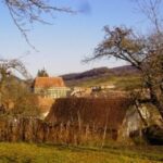 Saxon Secrets: The Malancrav & Biertan Experience - What’s Included & What’s Not