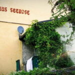 Schwabing: Insider Tour! Neighborhood, revolt, secrets in Munich's cult district - Who Should Book This Tour?