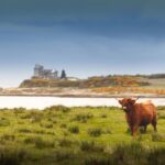 Scotland: West Highlands, Mull and Iona 4-Day Tour - Who Would Love This Tour?