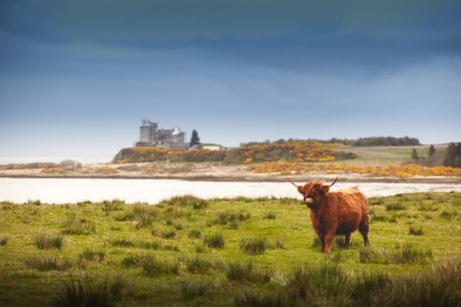 Scotland: West Highlands, Mull and Iona 4-Day Tour - Who Would Love This Tour?
