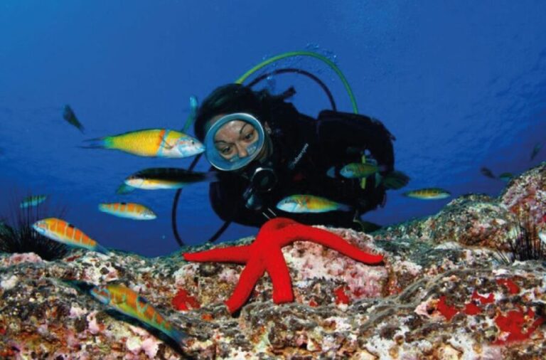 Scuba Diving Baptism in Caleta de Fuste - What’s Included & What to Keep in Mind