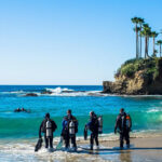 Scuba Diving Experience for Beginners In Greece - What to Expect During Your Scuba Experience