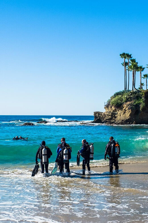 Scuba Diving Experience for Beginners In Greece - What to Expect During Your Scuba Experience