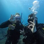 Scuba Diving trips for Certified Divers in Tenerife - What Makes This Experience Special?