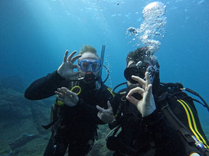 Scuba Diving trips for Certified Divers in Tenerife - What Makes This Experience Special?