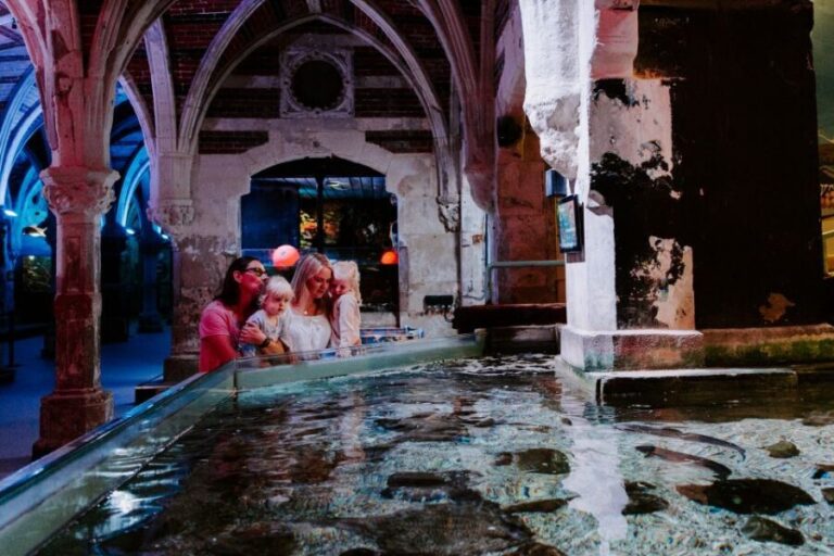 Sea Life Brighton Admission Ticket - What Makes Sea Life Brighton Special?