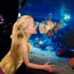 SEA LIFE Great Yarmouth - FAQ
