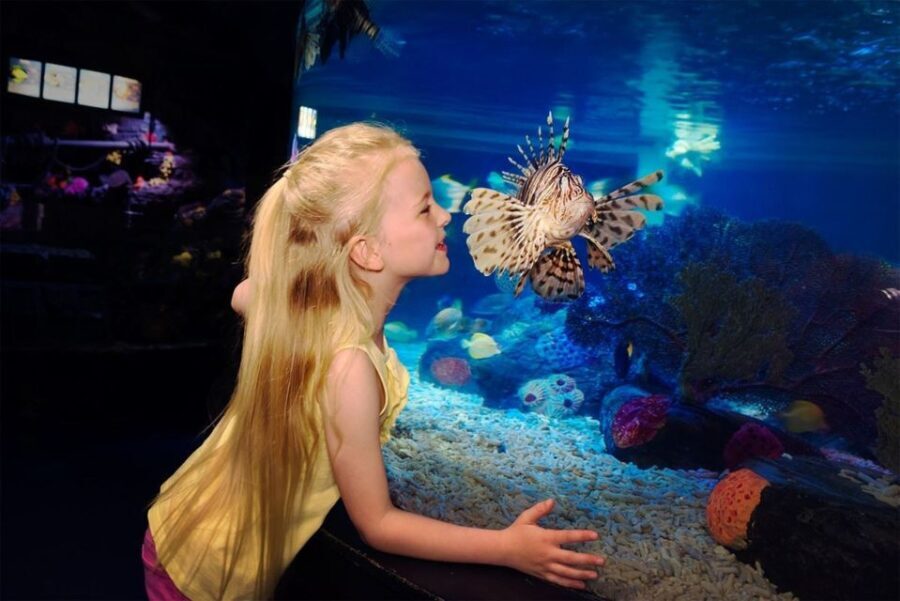 SEA LIFE Great Yarmouth - FAQ