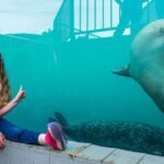 Sea Life Hunstanton - Who Will Love Sea Life Hunstanton?