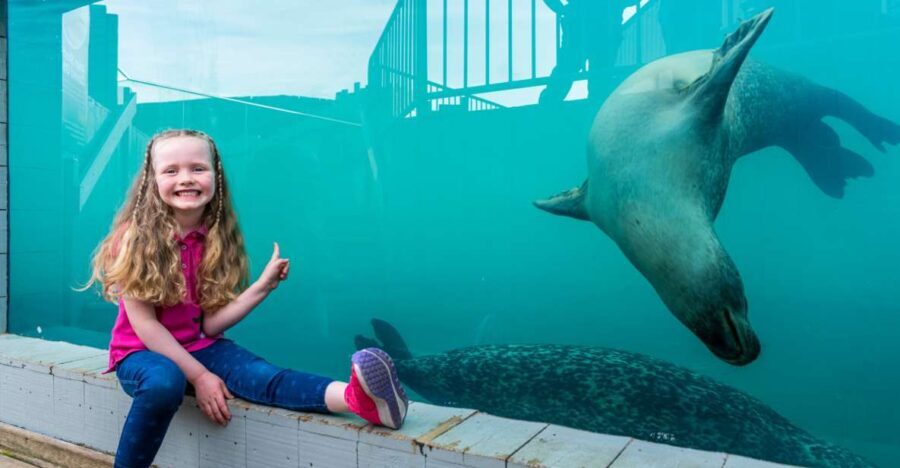 Sea Life Hunstanton - Who Will Love Sea Life Hunstanton?