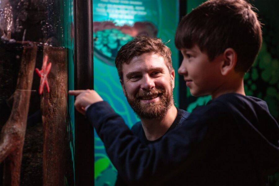 SEA LIFE London & DreamWorks Shrek's Adventure: Combo Ticket - Who Should Consider This Experience?