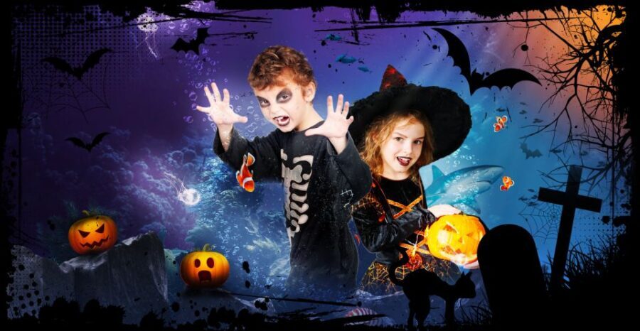 SEA LIFE Paris: Admission Ticket - The Sum Up