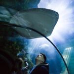 SEA LIFE Porto Full-Day Entrance Ticket - The Visitor Experience: Small but Impactful