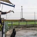 Sea Life Scarborough - What to Expect at Sea Life Scarborough