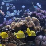 Sea Life Speyer Ticket - The Authentic Experience: What Visitors Are Saying