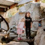 Sea Life Weymouth Admission Ticket - The Penguin Experience