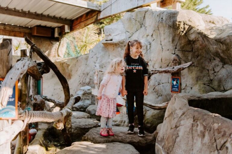 Sea Life Weymouth Admission Ticket - The Penguin Experience