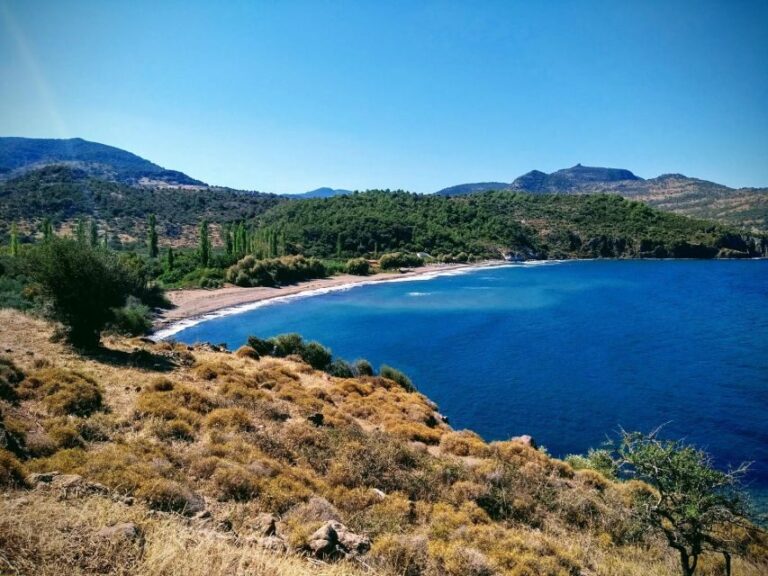 Sea, Sun and Swimming Cruise from Mytilene - Practical Details and Tips for the Cruise