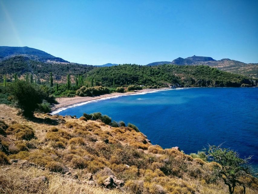 Sea, Sun and Swimming Cruise from Mytilene - Practical Details and Tips for the Cruise