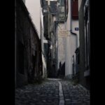 Secret Doors of Zurich Discovery Walk - The Guide: Knowledge and Personal Touches