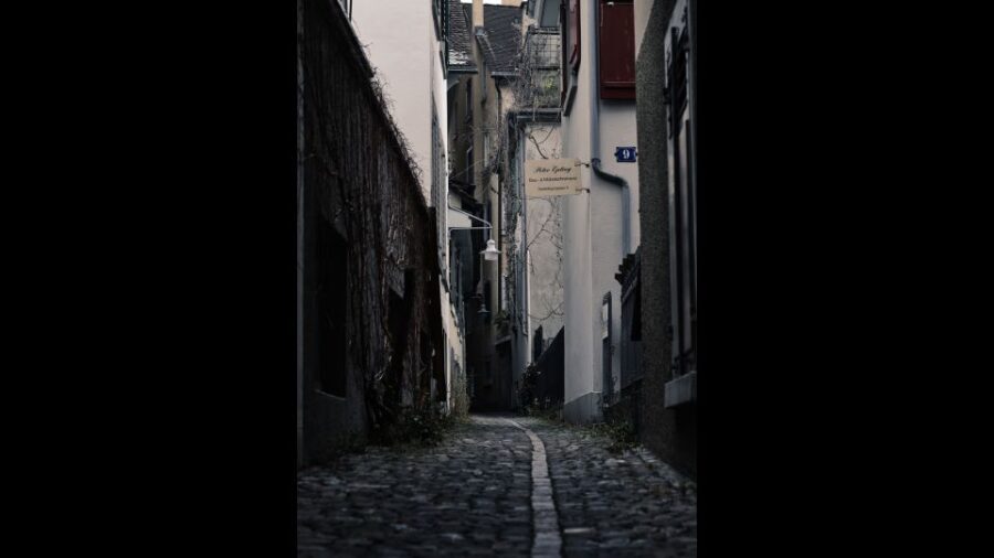 Secret Doors of Zurich Discovery Walk - The Guide: Knowledge and Personal Touches