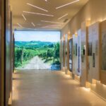 Secret journey between prosecco, lugana and white wines - Who Will Love This Tour?