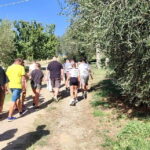 Seggiano: Guided Tour of the Olive Grove and Food Tasting - The Itinerary Breakdown