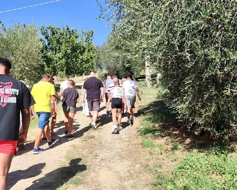 Seggiano: Guided Tour of the Olive Grove and Food Tasting - The Itinerary Breakdown