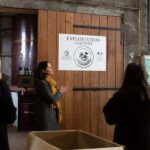 Segonzac: visit a family-run estate: G and C Raby - The Sum Up