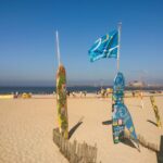 Self-Guided Bike to Surf"N"Food Pack - The Surf Experience: Waves and Waves of Fun