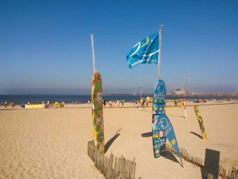 Self-Guided Bike to Surf"N"Food Pack - The Surf Experience: Waves and Waves of Fun