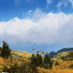 Self-Guided E-Bike Road Tour - Camacha to Monte with Lunch - The Sum Up