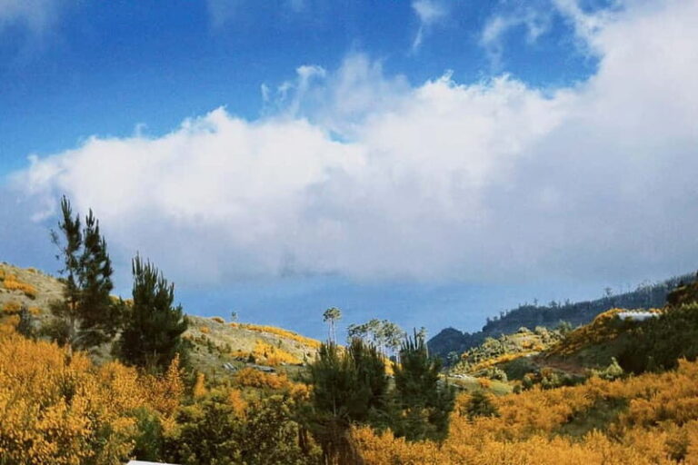 Self-Guided E-Bike Road Tour - Camacha to Monte with Lunch - The Sum Up