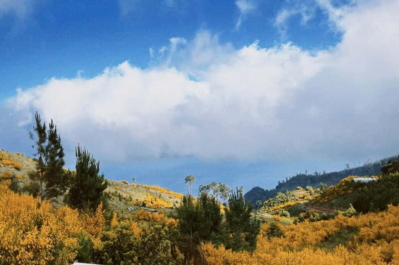 Self-Guided E-Bike Road Tour - Camacha to Monte with Lunch - The Sum Up