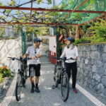 Self-Guided E-Bike Road Tour - Funchal to Câmara de Lobos - Who Is This Tour Best For?