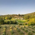 Self tour of the olive oil mill & olive oil tasting - A Deep Dive into the Experience