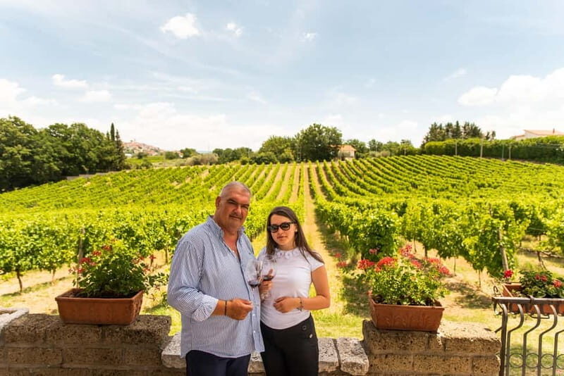 Sella delle Spine Taurasi: Tasting, Vineyard and Winery Tour - What Travelers Should Know