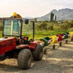 Semi-Private Tour; Belgrade to Tirana the Balkans in 8 Days - Practical Details and Value Analysis