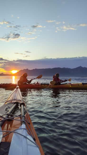 Senja: Guidet Evening Kayak Cruise - Why This Tour Is a Must-Do