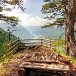 Serbia: Drina River House & Tara National Park Full Day Tour - Final Thoughts: Is This Tour Right for You?